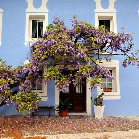 The Blue House Hotel Tolmin Buitenkant foto