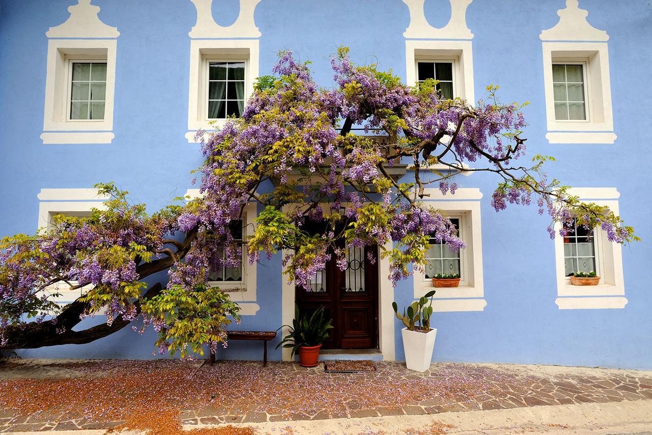 The Blue House Hotel Tolmin Buitenkant foto